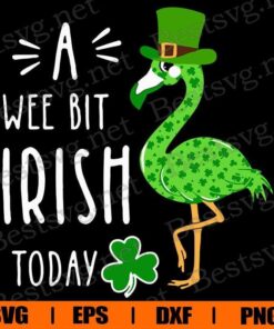 A Wee Bit Irish Today , Flamingo Lover, Animal Lover, Flamingo Green , Irish , Shamrock Svg Eps Png Dxf