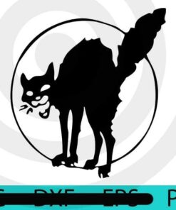 Anarchist black cat angry cat, Halloween 2021 art, Halloween, Halloween Theme, Scary Halloween Gift, Customizable PNG