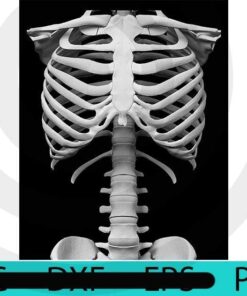 Anatomy white bones, Halloween 2021, Halloween, Halloween Theme, Scary Halloween Art, Halloween Gift, Customizable PNG