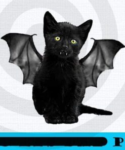 Batcat Black Cat Kitty, 2021 Halloween T-shirt, 2021 halloween Art, cute 2021 halloween gift, halloween theme, Customizable PNG