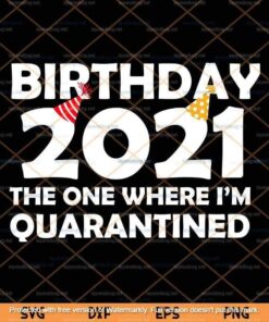 Birthday 2021 Funny Gift Svg,The One Where I was Quarantined Svg, 2021 Svg, Quarantine Birthday, Customizable Layered Svg Png Dxf Eps,