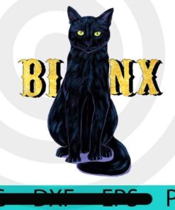 Black Cat Binx Halloween, Halloween 2021, Halloween, Halloween Theme, Halloween Gift, 2021 Halloween, Awesome Scary Cute Cat, cat mom, Cat dad, Customizable PNG