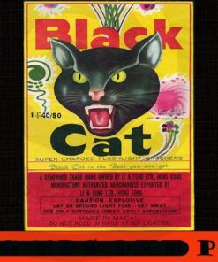 Black Cat Firecrackers Sticker angry cat, Merry Christmas, Christmas Day, Christmas Cat Customizable PNG