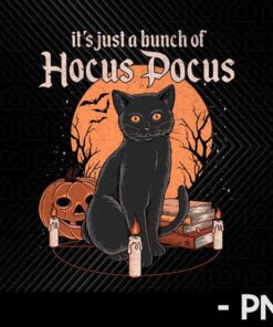 Bunch of Hocus Pocus Vintage black cat art Retro Halloween Customizable PNG