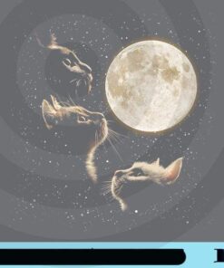 Cat and Moon, Three Cats and Moon, Whole sky, Cat Lover, Moon, Cute Cat, Cat Moon, Realistic Cat and Moon, Real Cat Customizable Png