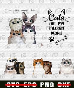 Cat Are My Favourite People, Leo, Luna, Charlie, Ruby, Cat Lovers, Love Cat, Pet Lovers, Cute Kitten, Png