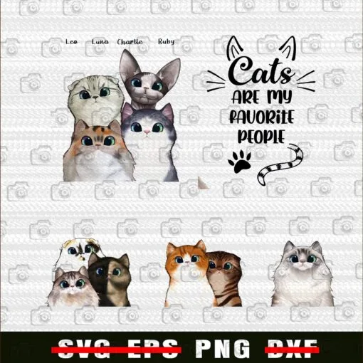 Cat Are My Favourite People, Leo, Luna, Charlie, Ruby, Cat Lovers, Love Cat, Pet Lovers, Cute Kitten, Png