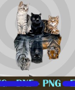 Cat Tiger Reflect Water Shadow Three Cat Png Download Customizable PNG