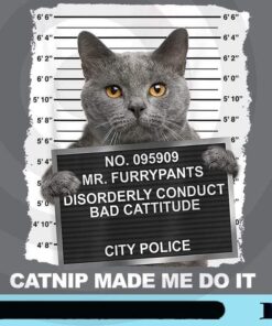 Catnip Made Me Do It Funny Cat, Disorderly Conduct bad Cattitude, Cats Cute, Cat Kawaii, Neko, Cute Neko, Meow Lover, Customizable Png