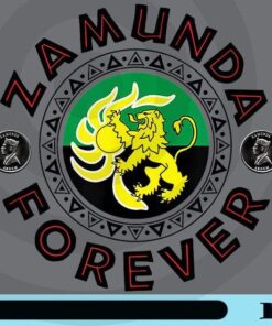 Coming to America Zamunda Flag, Zamunda Forever, National flag, Kingdom of Zamunda, Lion, Sun patriotic Customizable Png