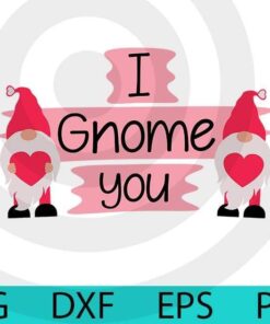 Cute I gnome you, Valentines Gnomes, Cute sweet Gnomes Valentine's Day Customizable Layered Svg, Svg Eps Png Dxf