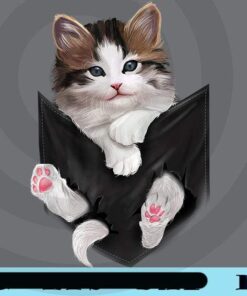 Cute White Kitty in Pocket, Cats Lovers, Gift for Cat Owner, Cute Cat, Customizable Png