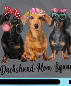 Dachshund Mom Squad, Dachshund Gift, Dachshund Lovers, Gift Cute, Gift Funny, Dog Gifts Customizable Png