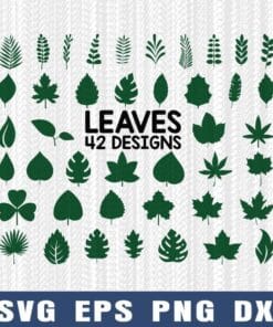 Fall Leaves, Decorative Leaves, Jungle Leaves Tropical, Palm Leaves, Tropical Leaf,Plant, Layered Svg Eps Png Dxf