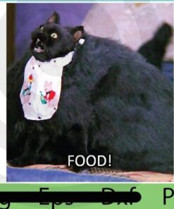 Fooooood food funny black cat , 2021 Halloween Quotes, Halloween Theme, Funny Halloween saying Customizable PNG