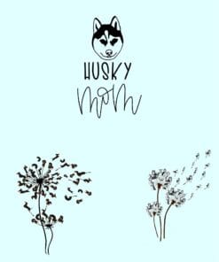 For husky of instagramus