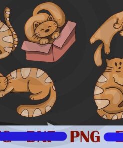 Funny Cats in the box yellow cat cute cat cat mom cat dad Design Bundles Customizable PNG