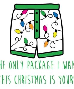 Funny Christmas, For Boyfriend, For Husband,The Only Package I Want This Christmas Is Yours, Layered SVG, DXF, PNG, EPS