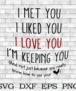 Funny I Met You , I Like You, I Love You, I'm Keeping You, How To Use Your Chickens, Gift for Farmer, Modern farmhouse Layered Svg Eps Png Dxf