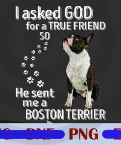 I Asked God For a True Friend, He Sent Me A Boston Terrier, Dog, Pitbull Dog Customizable Png