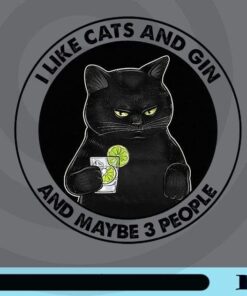 I Like Cats And Gin and Maybe 3 People, Grumpy Cats, Black Cat, Lemonade, Cat Lovers, Customizable Png
