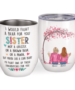 I Would Fight A Bear For You Sister, Sonsbitch For You, Not A Gizzy Or A Brown Bear, Like A Care Bear, Sister Gift,