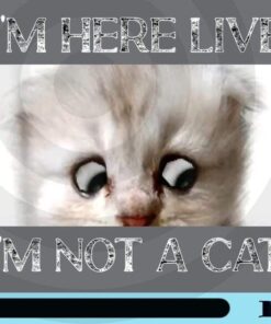 I'm Here Live, I'm Not A Cat, Cat Lover, Attorney accidentally leaves cat filter on during Zoom call, cat filter on his Zoom Customizable Png