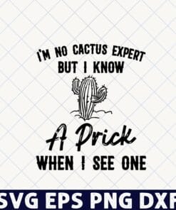 I'm No Cactus Expert But I Know A Prick When I See One, Garden, Cactus, Fucculent Layered Svg Eps Png Dxf
