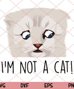 I'm Not A Cat Svg, Funny Zoom Call Cat Svg, Cat Lover Svg, Cute Animal Svg Customizable Layered Svg, Svg Eps Png Dxf