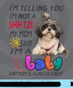 I'm Telling You I'm Not A Shih Tzu, My Mom Said I'm A Baby, Mom Is Always Right, Cute Dog, Little Dog, Customizable Png