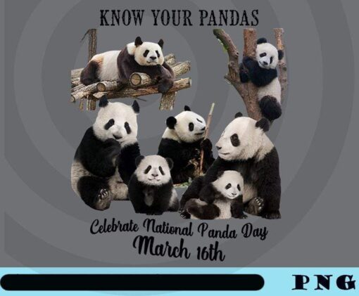 Know Your Pandas, Celebrate National Panda Day March 16th, Cute Panda animal , Panda Family, Panda, Panda Lovers, Customizable Png