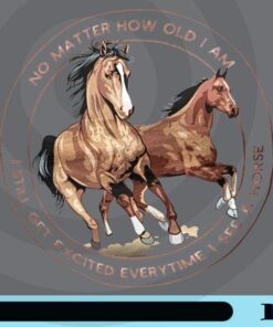No matter how old I am, two horses, Get excited everytime, see a horse, Horse Riding, Horse Lover Customizable PNG