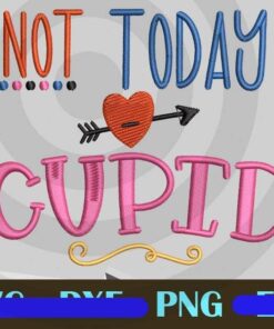 Not Today Cupid funny love, funny heart, funny valentine Customizable PNG
