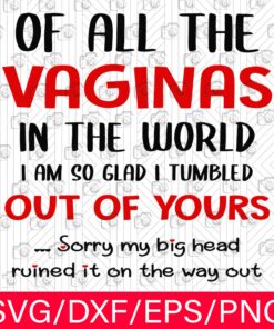 Off All The Vaginas In The World, Funny Mom Gift, Funny Mother, Mother's Day, Mother's Birthday Svg Eps Png Dxf