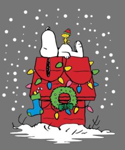 Peanuts Snoopy and Woodstock Stocking Lit Up, Snow, Christmas, Layered SVG, DXF, PNG, EPS