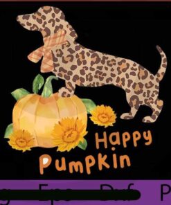 Pumpkin dachshund PNG - Fall weenie dog png - Dog mom png - Dog mama png - Doxie mom png - Dachshund png - Doxie png - Dog sublimation Customizable PNG