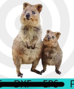 Quokka with Baby , Halloween 2021, Halloween, Halloween Theme, Halloween Gift, 2021 Halloween, Halloween Art Gift, Customizable PNG