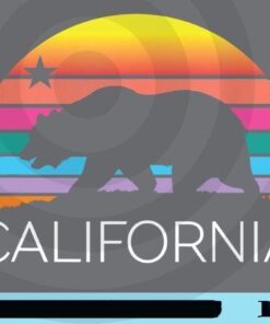 Retro California Surf Vintage Beach Cali 80s Venice Palm Sun Summer bear Animal Customizable Png