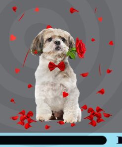 Shih Tzu Valentine's Day Outfit Dog Valentine, Little lion name, Shih Tzu Lover, Dog Lover, Pet Lover Customizable Png