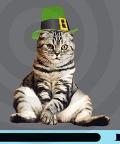 St Patricks Day, Cat ,Funny Cat, Leprechaun Lover , Cat Lover, Pet Lover Customizable Png