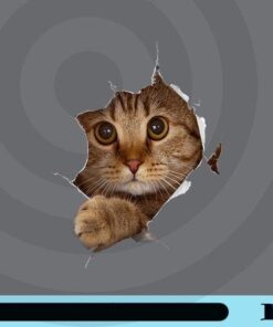 Sweet Kitten Torn Cloth - Funny Cat Lover Cat Owner Cat Lady, Cute Cat, Cat Lovers, Customizable Png