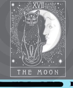 Tarot Card, Crescent Moon And Cat Graphic, Moon And Cat, Witchy Cat, The Moon Tarot, Tarot Reading, Customizable Png
