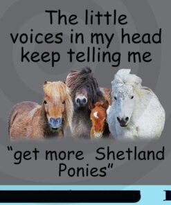 The Little Voices In My Head Keep telling me Get More Shetland Ponies, Horses, Love Horses, Horse Lovers, Animal Customizable Png