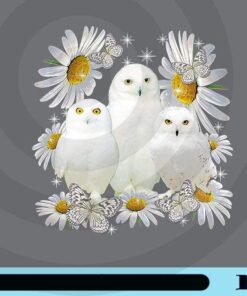 Three Snowy Owls, Oxeye Daisy, White Owl, Butterfly, insect Love Plants, Customizable Png