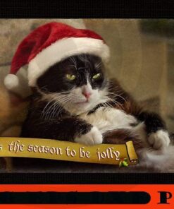 Tis the season for Trouble, Merry Christmas, Christmas Day, Christmas Cat Customizable PNG