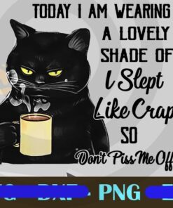Today I An Wearing A Lovely Shade Of I Slept Like Crap So Don't Piss Me Off, Grumpy Black Cat, Cat Love Coffee, Customizable PNG