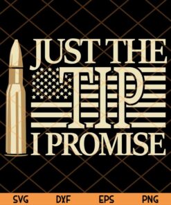 Veteran Just The Tip I Promise Flag Svg, Veteran US Flag Svg, Veteran Day Svg Trending Customizable Layered Svg, Svg Eps Png Dxf