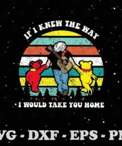 Vintage Grateful Bear, If I Know The Way I Would Take You Home Grateful Dead Dancing Bears, Old Guitarist, Layered SVG, DXF, PNG, EPS