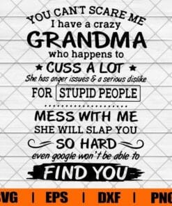 You Can't Scare Me I Have Crazy Grandma, Cuss A Lot, Stupid People, Mess With Me, Grandma Gift, Layered SVG, DXF, PNG, EPS